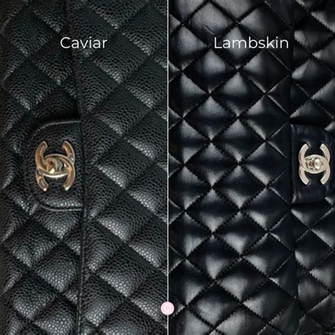 chanel caviar or lambskin|Chanel Caviar or Lambskin: Which one i.